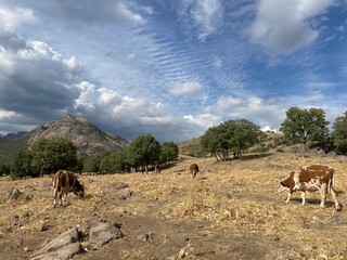 Tunceli / Dersim - Mazgirt - Gümüşgün Köyü (Dorf) - Samansor | Türkiye