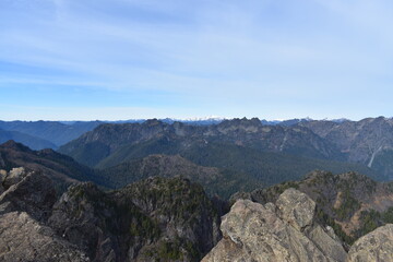 Fototapeta premium Nature