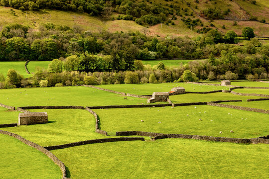 Beautiful Swaledale, Yorkshire Dales, UK