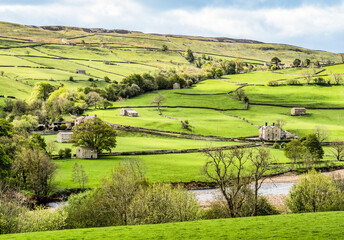 Obraz premium Typical Yorkshire Dales farming country in Swaledale, with drystone walls and stone field barns, seen in spring.
