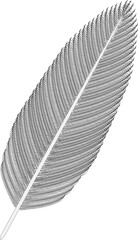 Bird Feather (gray).