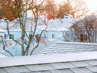 Roofs covered in Winter Frost along with a Maple tree showing  a bunch of  last few fall colored leaves remaining to fall from tree.