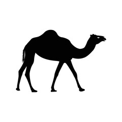 Desert animal hump camel icon | Black Vector illustration |