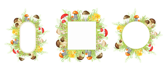 Mushrooms watercolor frame set, big mushroom with grass, spongy mushroom, vegetarian gourmet cuisine, autumn mushrooms hand drawn illustration isolated on white background