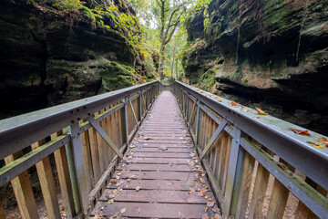 The most beautiful and breath taking trail in Luxembourg is Mullerthal  and hollhay cave,
