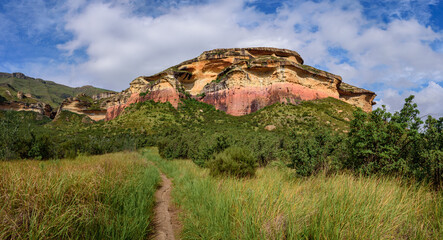 Obraz na płótnie Canvas A path through the grass leading to Mushroom Rock in the Golden Gate Highlands National Park. This nature reserve is part of the Maluti Mountains belonging to the Drakensberg range in South Africa.
