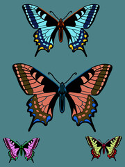 Obraz na płótnie Canvas vector butterfly