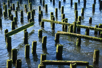 old cannery pylons neglected by time