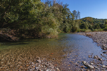 Mountain river on a sunny summer day. A mountain river flows along the shore with growing shrubs and a forest with green foliage against a blue sky. Beautiful summer landscape.
