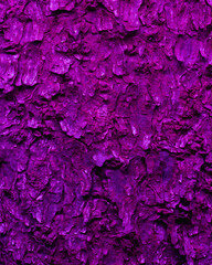 Abstract purple tree bark background, closeup of natural tree bark texture. Tree trunk in neon...