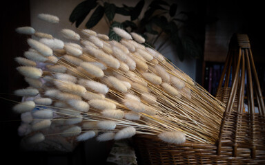 dried Lagurus ovatus plants in a wicker basket