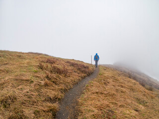 Adventurous athletic male hiker, hiking up a trail in early spring on a cloudy day in the Pacific Northwest.
