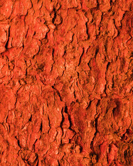Abstract red tree bark background, closeup of natural tree bark texture. Tree trunk in red light, natural material background image for design
