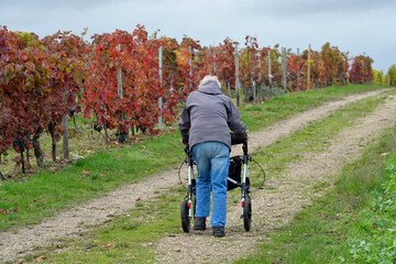 frau mit rollator unterwegs