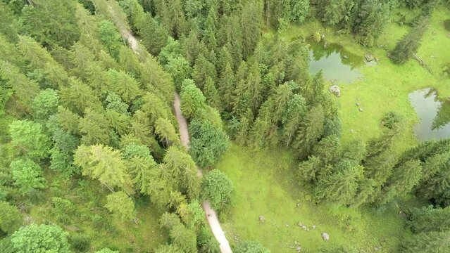 Drone Footage of the Gosaulacke near the Gosausee in Upper Austria