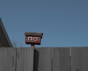 bird house 