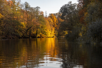 Autumn landscape. Yellow trees on the bank of a forest river at sunset. Landscape in warm colors