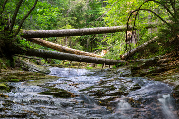 Obraz premium Waterfalls Canyon