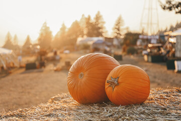 Orange pumpkins sitting on hay bales at a fall festival during sunset