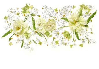 Fototapeta premium Flower composition. Light flowers with green leaves on a white background. Flat lay, top view. Copy space