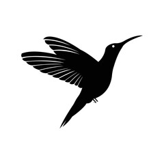 Beija flor colibri hummingbird icon | Black Vector illustration |