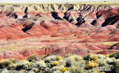 Painted Desert Scene