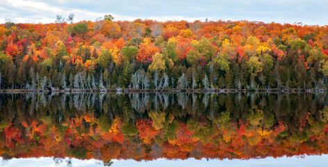 Trees in brilliant autumn color on a hillside reflecting in a lake