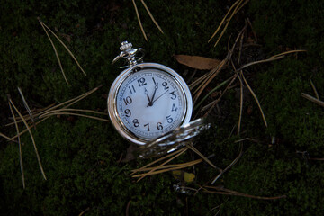Pocket watches on moss and pine