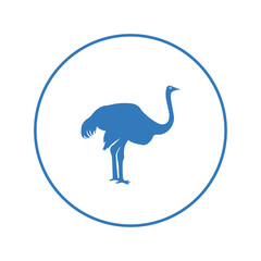 Flightless animal bird ostrich icon | Circle version icon |