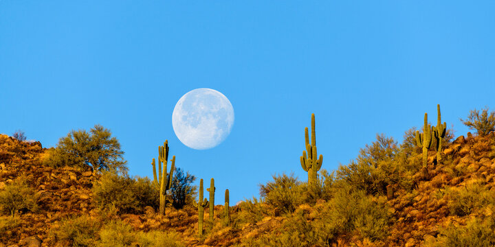 Desert Moon.