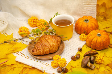 Autumn still life in yellow-orange tones: a white knitted plaid and leaves, a yellow mug and a croissant on a wooden plate surrounded by yellow leaf frame 
 with pumpkins mushrooms nuts and yarn balls