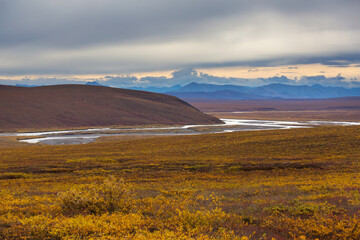Autumn in polar tundra