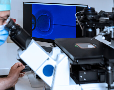 Embryologist adding sperm to egg in laboratory of reproductive clinic. in vitro fertilization, egg freezing. injects one sperm into each egg by microinjection. intracytoplasmic Sperm injection. imsi