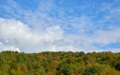Obraz premium Blue sky with clouds, below the forest with trees of various color.