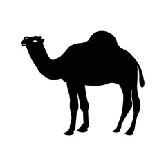 Dromedary animal Sahara camel icon | Black Vector illustration |