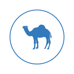 Dromedary animal Sahara camel icon | Circle version icon |