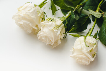 Obraz na płótnie Canvas white roses bouquet. Bouquet of white roses on a white background.