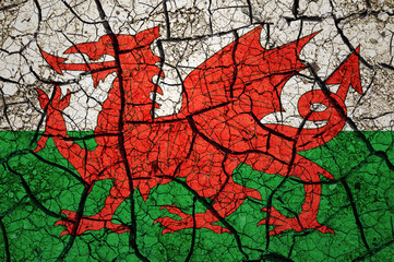 Dry soil pattern on the flag of Wales. Country with drought concept. Water problem. Dry cracked earth country.	