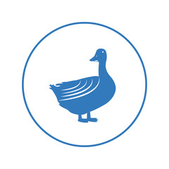 Duck animal goose bird icon | Circle version icon |