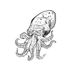 illustration of octopus