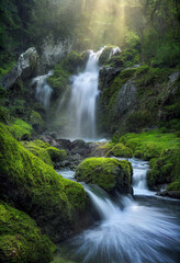 Tropical waterfall with rocks and green moss - obrazy, fototapety, plakaty