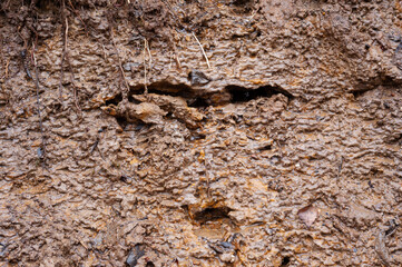 texture of wet sand
