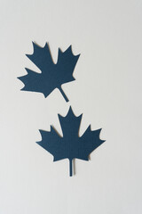 two paper leaves on blank paper