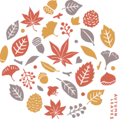 Fototapeten 秋の紅葉と植物のはんこ風イラストセット © Burao