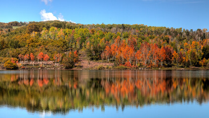 Kolob Autumn Reflection