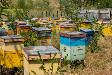 Honey bee houses or hives in Moldova region of Romania.
