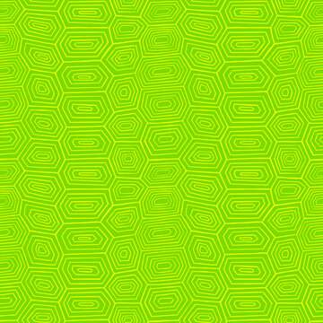 Turtle Tortoise Shell Pattern