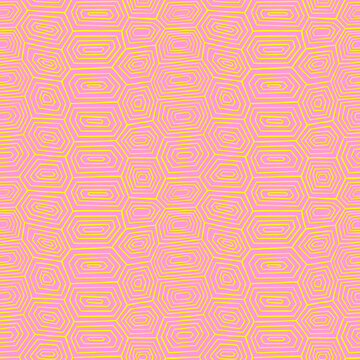 Turtle Tortoise Shell Pattern