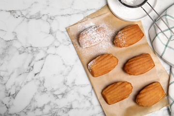 Fototapeta na wymiar Delicious madeleine cakes and powdered sugar on white marble table, flat lay. Space for text