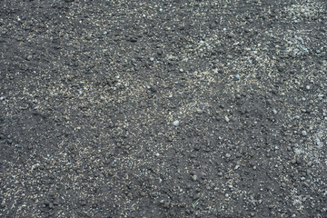 Grass seeds in fresh dirt, re-seeding a patchy lawn
